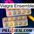 Viagra Set levitra2